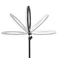 Ringlicht 10" BSC mit Stativ 10W