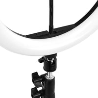 Ringlicht 10" BSC mit Stativ 10W